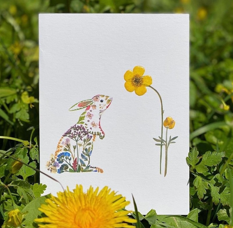 An illustration of a rabbit in nature by Helen Ahpoornesiri; Photo source: Helenahpornsiri.com website 