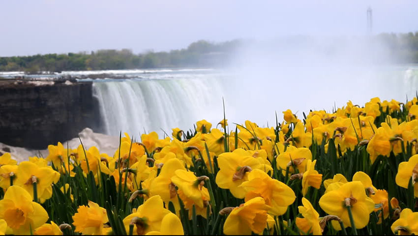 Niagara Falls Spring
