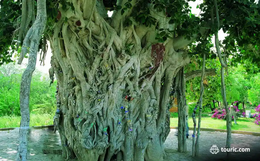 Travel guide to Kish