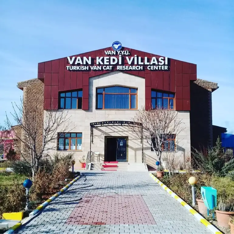 The architecture of the house of cats in the city of Van