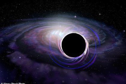 Astronomers consider black holes