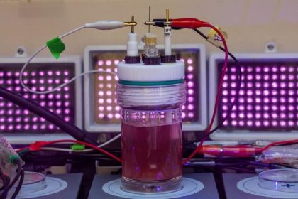 Bacteria that turn into a bioplastic factory