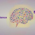 Header of the 10th International Conference on Cognitive Sciences