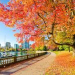 Stanley Park - Vancouver attractions