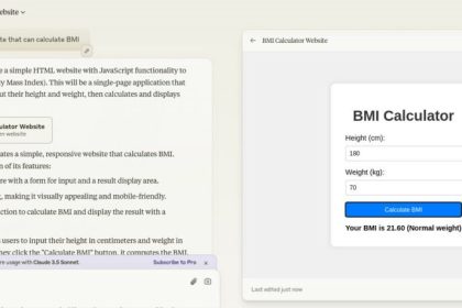 Claude's Chatbot Artifacts feature