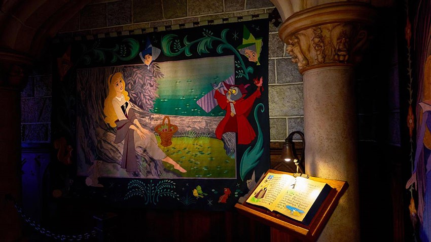 Beautiful sleeping castle