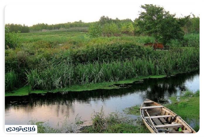 Black Kashmir Protected Area