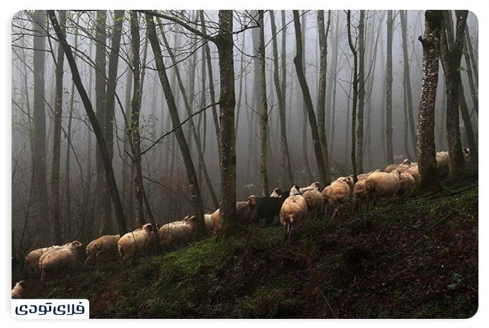 Tanyan, a mountainous region with a pleasant climate in the city of Soumesara