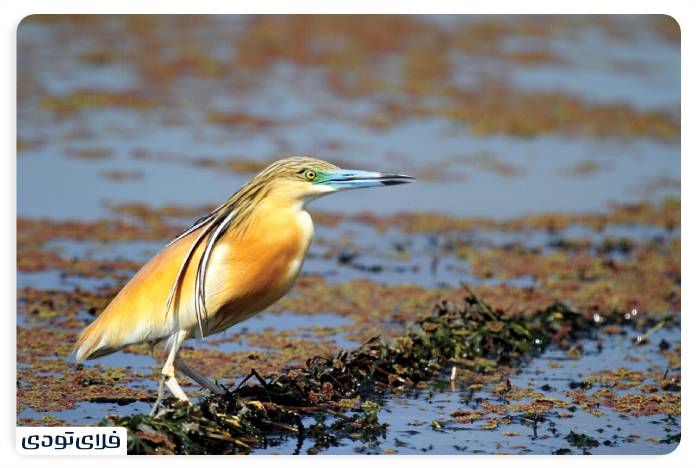 What season is the best time to visit the monastery?