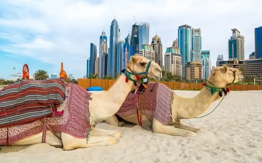 Desert tour in Dubai