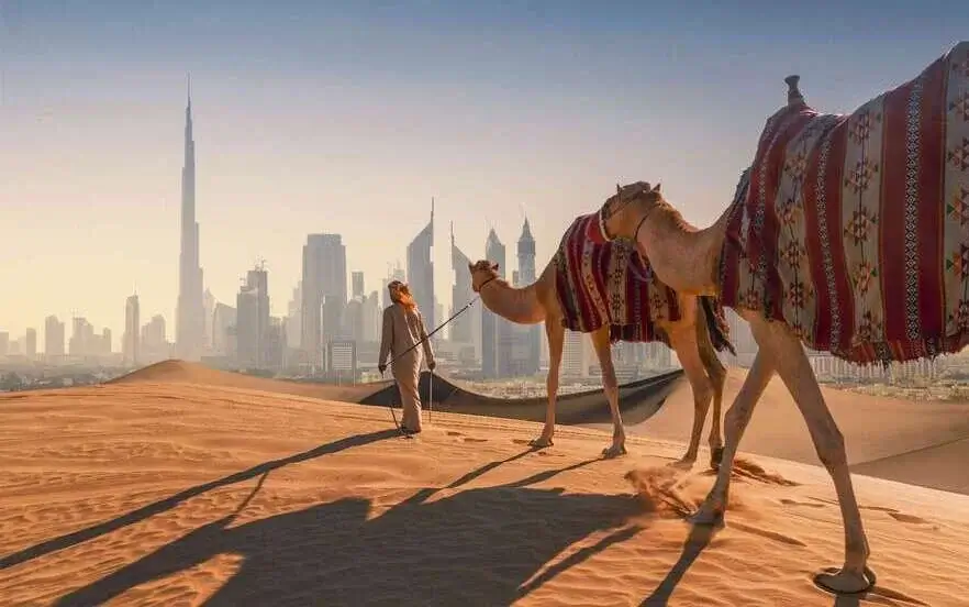 The best time to travel to Dubai to enjoy the desert