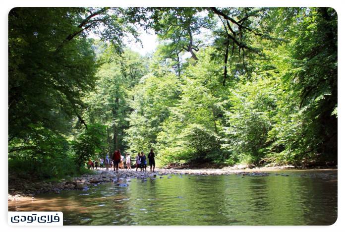 Leopard valley waterfall