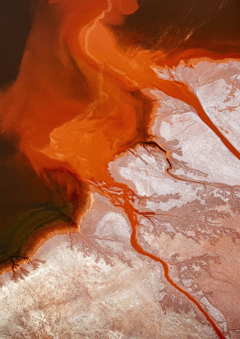 Macro image of crimson petal