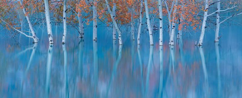 The reflection of the image of autumn trees in the water