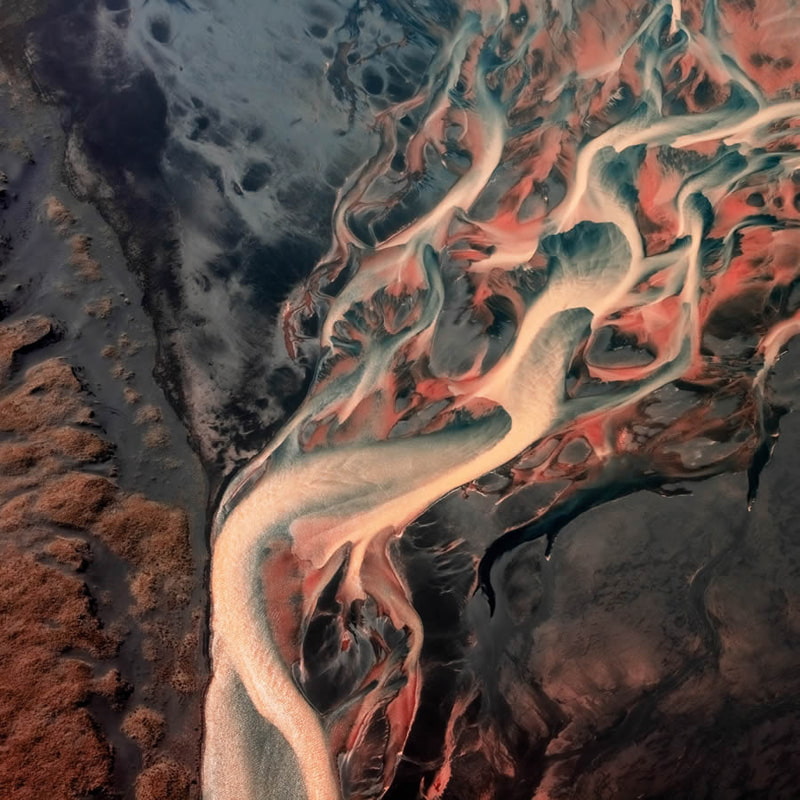 The selected photo of the bird's eye photography contest