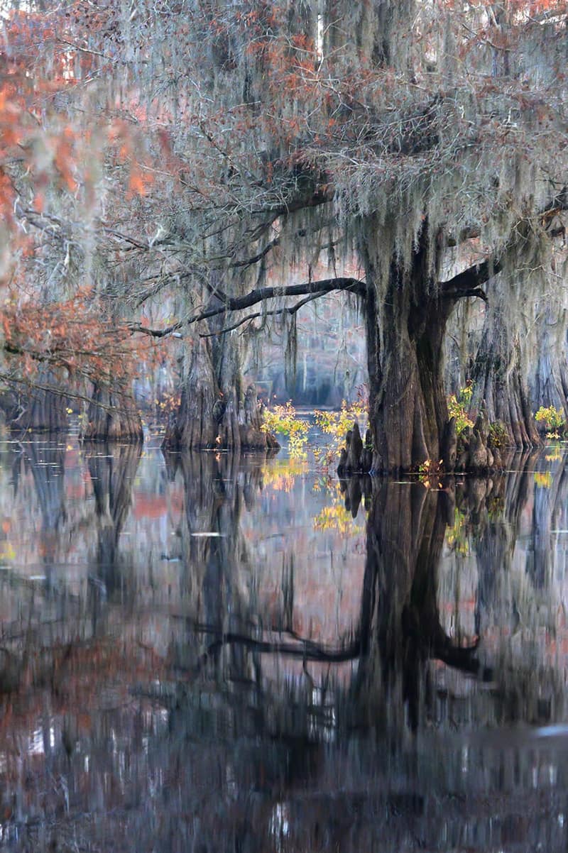 Autumn nature of South Korea