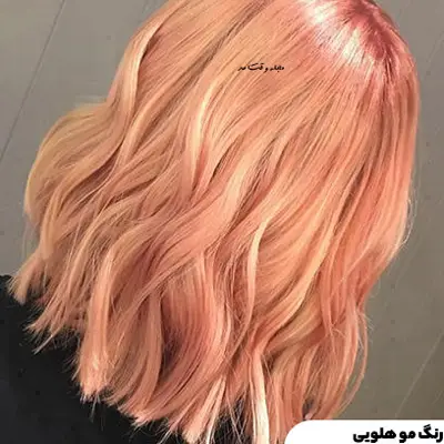 Rainbow blonde hair color