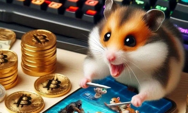 Riyal income of Hamster Kombat users