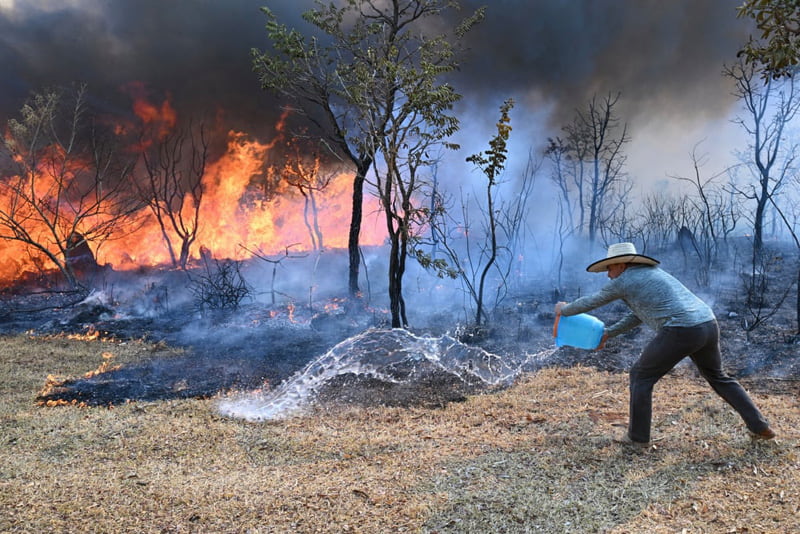Efforts to contain the fire near Brasilia National Park in Brazil
