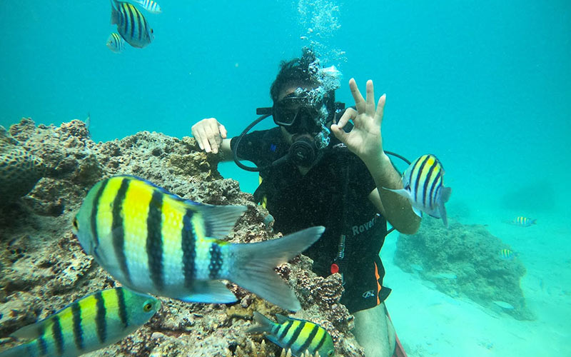 Diving in the Persian Gulf