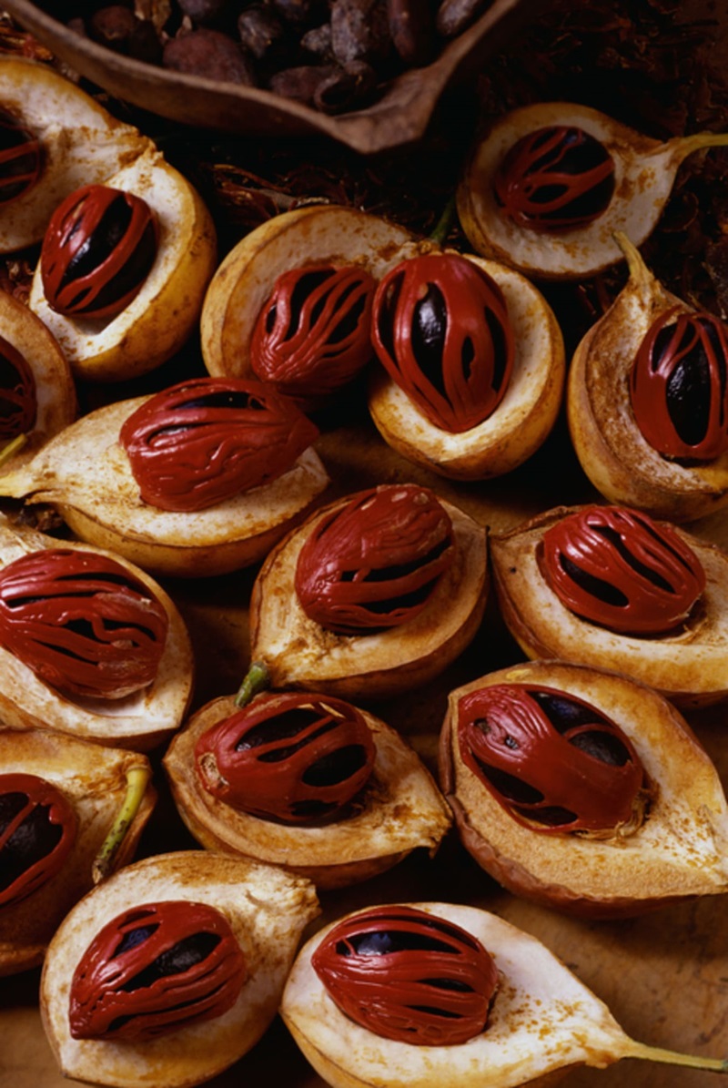 nutmeg