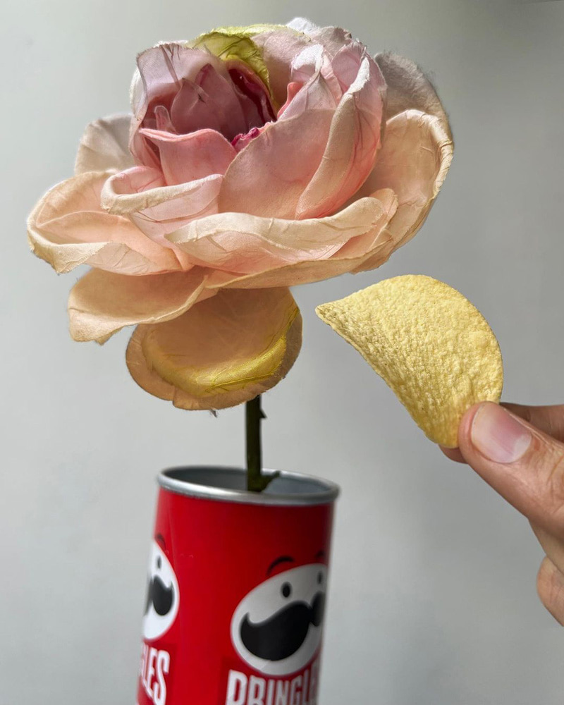 Combined photo of chips and flower petals