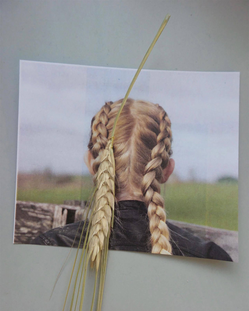 Combined photo of braided hair and wheat ears