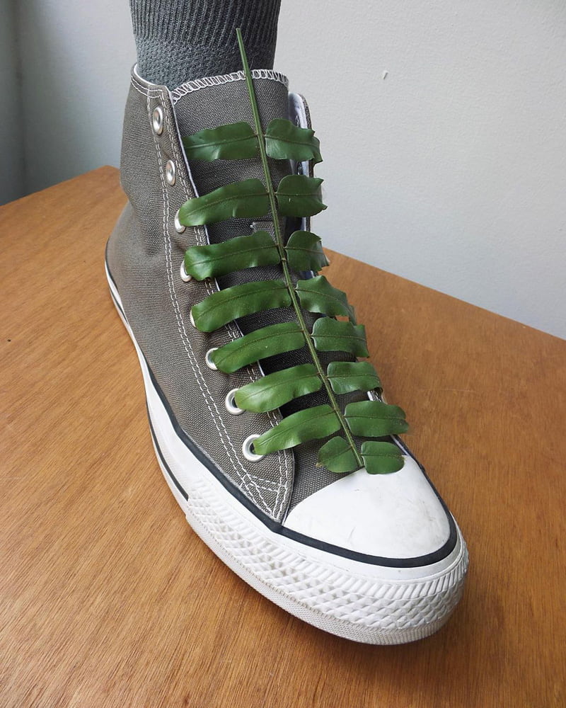 Combined photo of shoe and plant stem