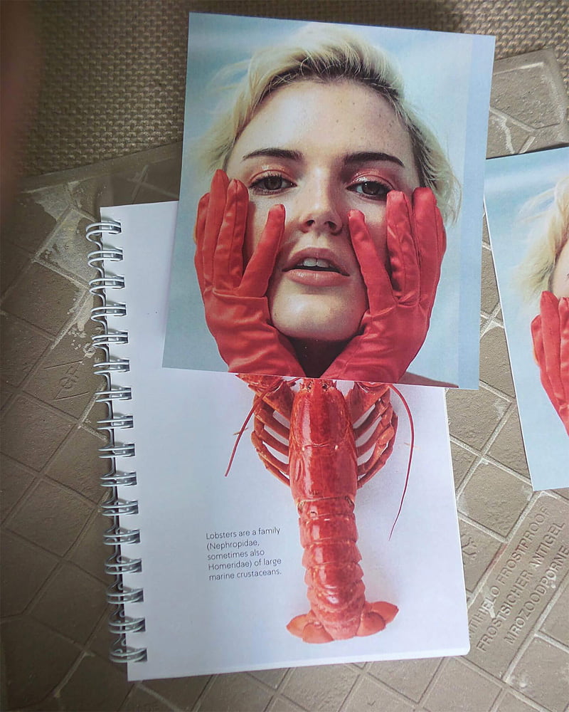 Combination photo of crab and young woman's gloves