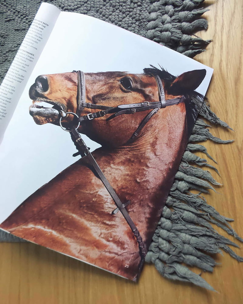 The combination of horse mane and carpet roots in the photo