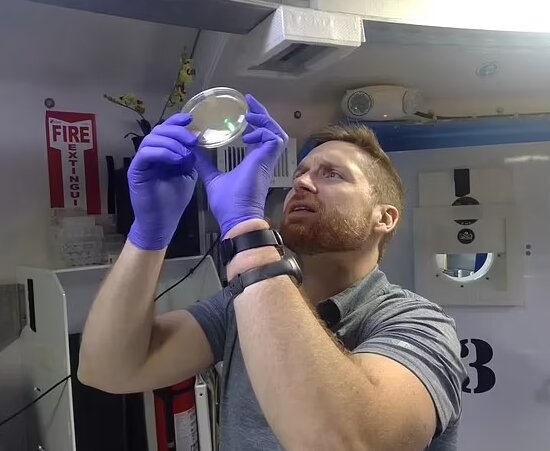 A look at what happened in the simulated Martian habitat