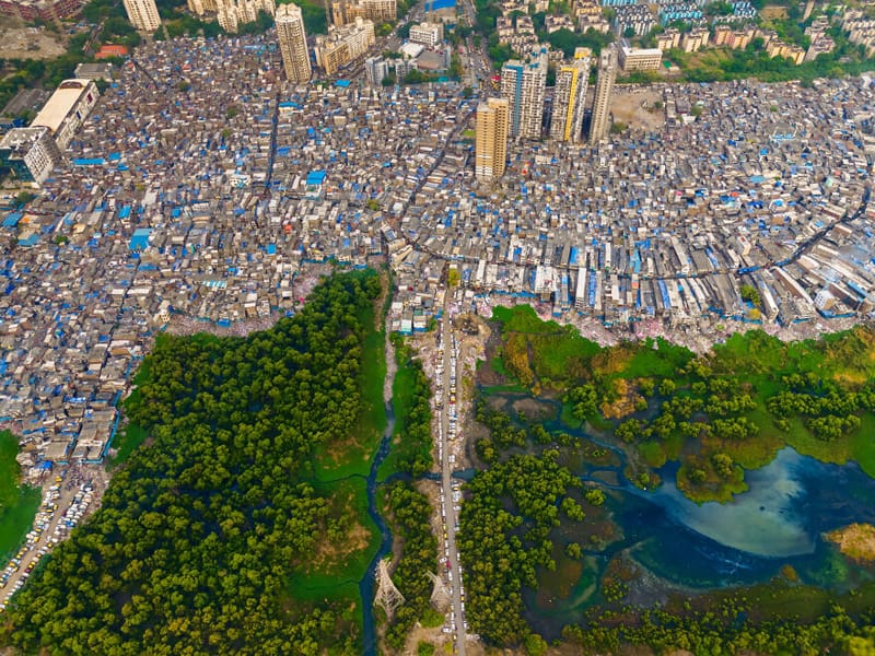 Mangrove clearing with urban development in India