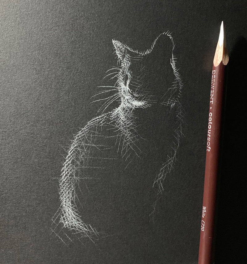 Cat drawing with white pencil