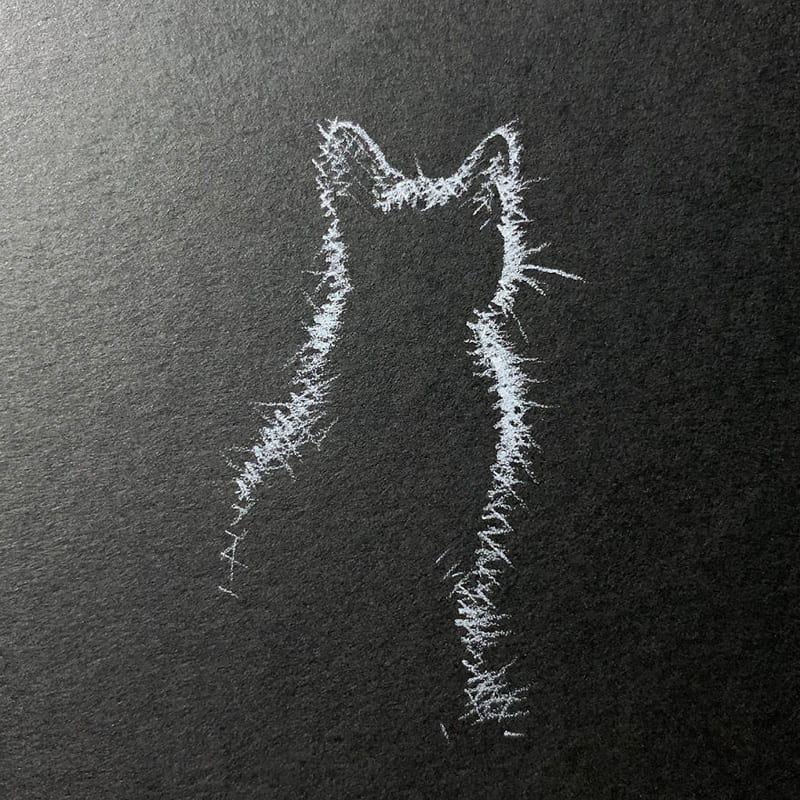 Drawing of a cat from the back with white pencil