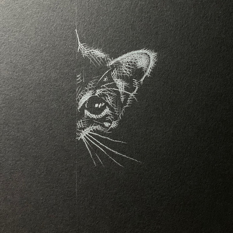 Drawing of a hidden cat in white pencil