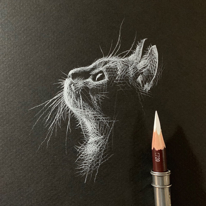 Drawing of a cat head in the air with white pencil