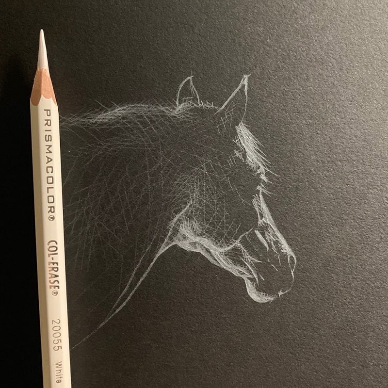 Horse drawing with white pencil