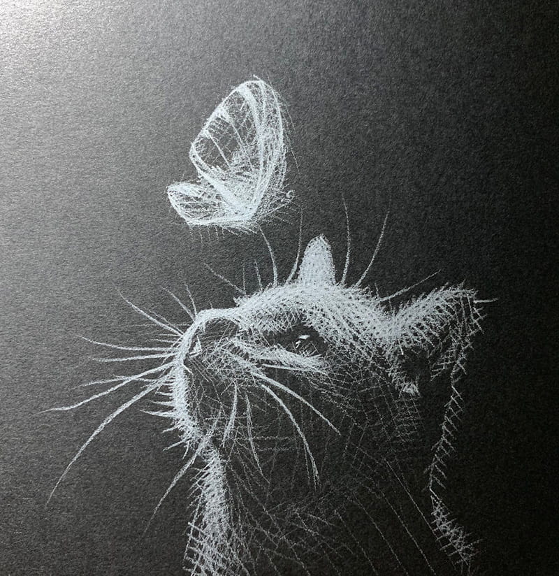 Cat and butterfly drawing with white pencil