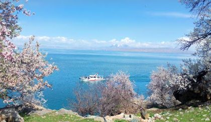 One's popularity among Iranians