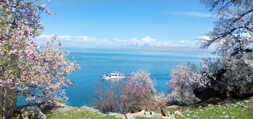 One's popularity among Iranians