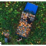 Sights of the monastery