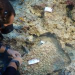 The discovery of a 3,600-year-old dagger in Türkiye