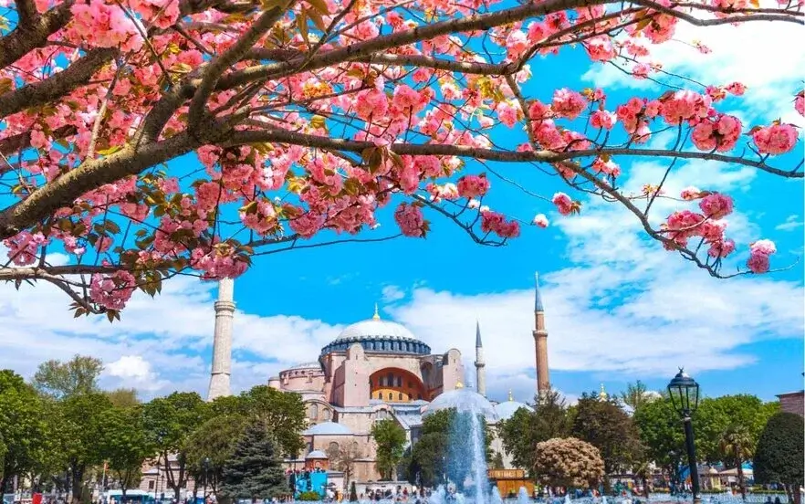 Travel to Istanbul in spring