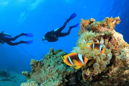 The most common water activities in Phuket