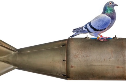 The winners of the 2024