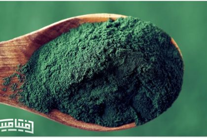 Spirulina algae powder