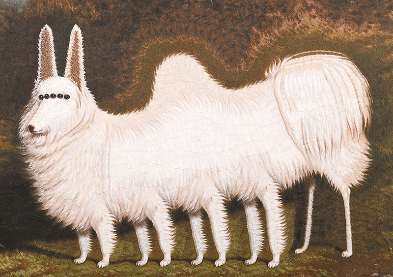 Humpbacked white animal made by Lola Dupere