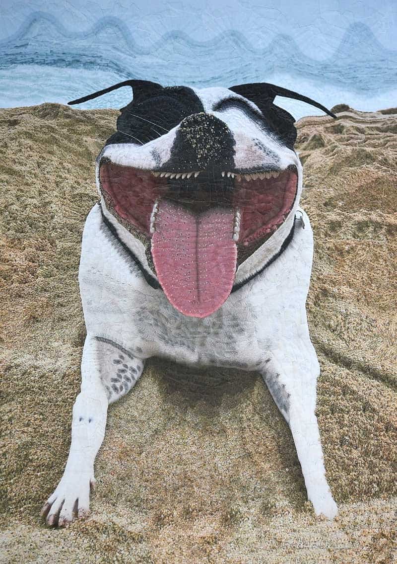 Paper smiling dog made by Lola Dupere