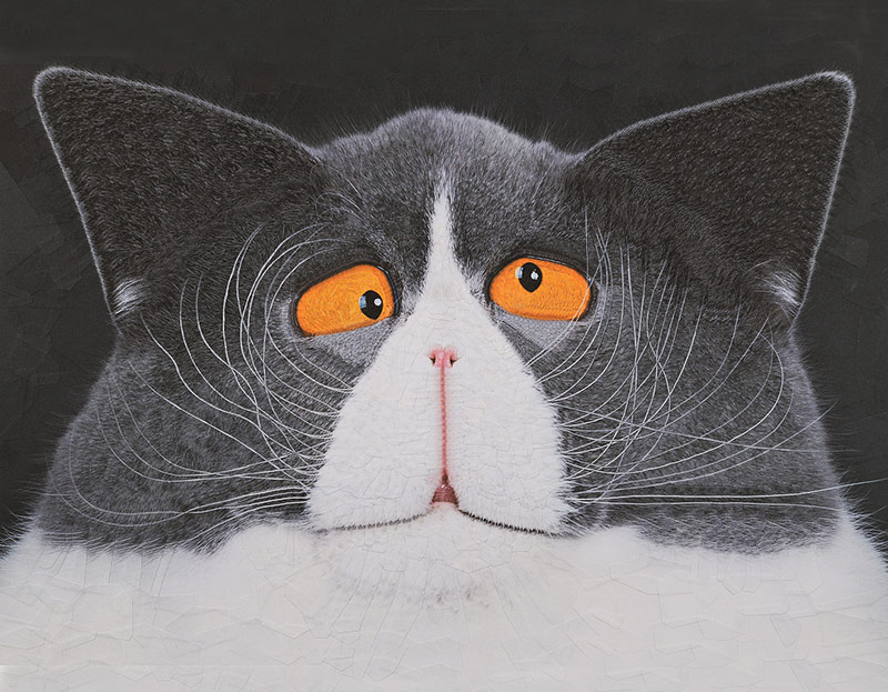 Gray cat face made by Lola Dupre