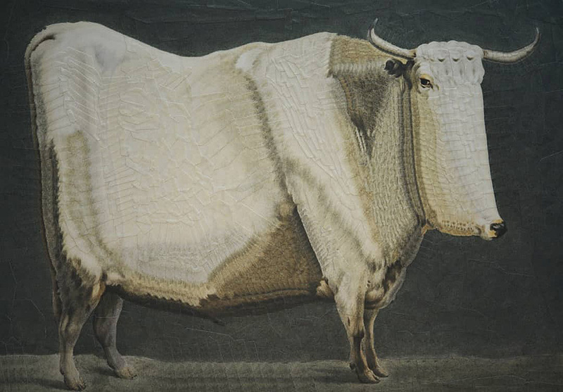 Paper cow made by Lola Dupere